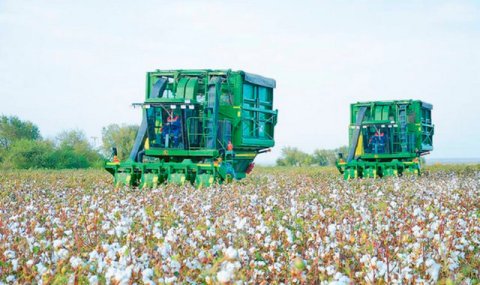 В Туркменистане стартовал сбор хлопка с использованием передовых технологий