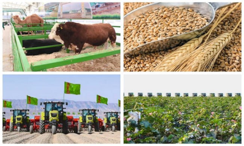 В Туркменистане подведены итоги сельхозработ за первое полугодие