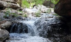 Водные источники Койтендага поддерживают жизнь долины