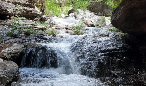 Водные источники Койтендага поддерживают жизнь долины