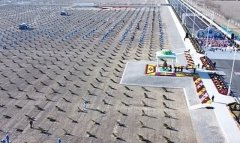 В городе Аркадаг начался осенний этап массового озеленения