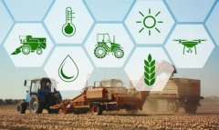 Сельское хозяйство Туркменистана показывает рост производства