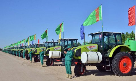 В Туркменистане начался сев озимой пшеницы