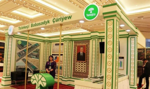 Туркменская компания экспортировала свыше 165 тонн грибов под брендом «Tokaýçy»