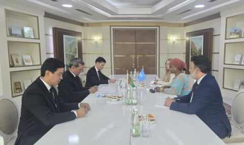 Глава МИД Туркменистана провёл переговоры с заместителем руководителя ЮНИДО