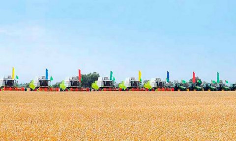 В Туркменистане завершена жатва: собрано свыше 1,4 млн тонн пшеницы
