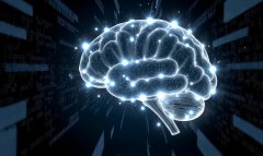 Учёные научили ИИ учиться самостоятельно