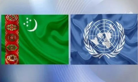 Туркменистан укрепляет партнёрство с ООН в сфере продовольственной безопасности