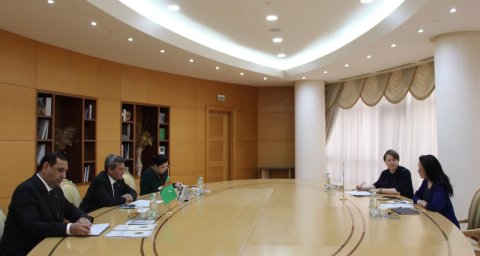 В МИД Туркменистана обсудили сотрудничество с ВТО