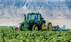 В сельхозсекторе Туркменистана продолжаются сезонные работы