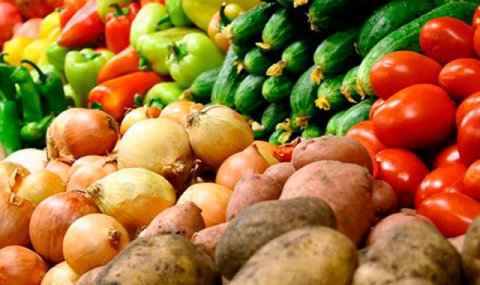 На севере Туркменистана завершена весенняя посадка овощных культур