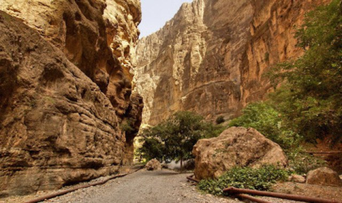 Койтендагский заповедник могут включить в список Всемирного наследия ЮНЕСКО