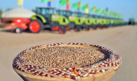 Темп сева пшеницы растет в Дашогузском велаяте