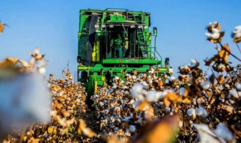 В Туркменистане ведутся работы по уборке хлопка и посеву пшеницы