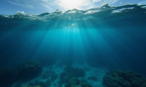 Ученые создали робота-дельфина для очистки океана от нефти