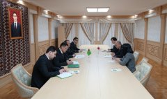 Туркменистан и Япония обсудили сотрудничество в миграционной сфере
