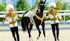 Ахалтекинский скакун символизирует развитие и устремлённость Туркменистана