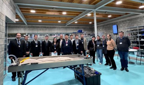 Туркменские эксперты по коневодству обменялись опытом в Словакии