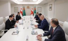 Туркменистан и Грузия укрепляют двустороннее сотрудничество