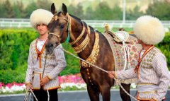 Киноконкурс о скакунах объединяет кинематографистов СНГ в Туркменистане