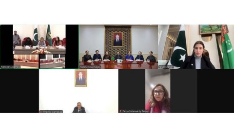 Женщины-парламентарии Туркменистана и Пакистана провели видеоконференцию