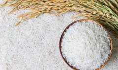 Дашогузский велаят Туркменистана подводит успешные итоги рисового сезона