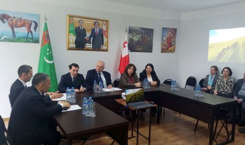 Посольство Туркменистана провело круглый стол в Сухумском университете