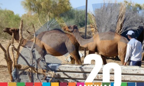 ПРООН представила отчет о деятельности в Туркменистане за 2024 год