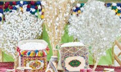 Шелководство на севере Туркменистана выходит на производственный этап