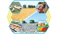 Туркменские аграрии проводят зимний мониторинг сельхозугодий