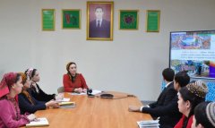 В ИМО МИД состоялся вебинар по мирному разрешению международных споров