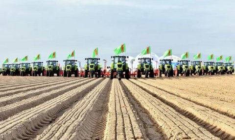 Массовый посев хлопчатника в Туркменистане стартует 25 марта