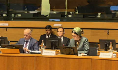 Замглавы МИД представила приоритеты Туркменистана в Люксембурге