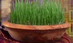 Новруз в Туркменистане сохраняет культурные традиции