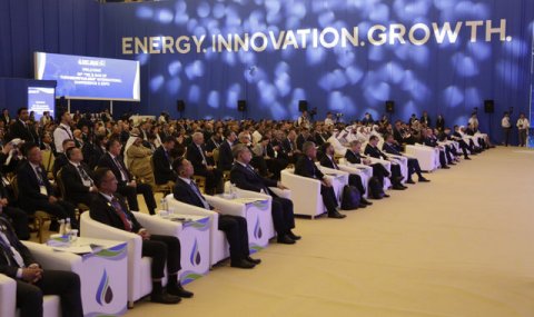 Туркменистан намерен укрепить правовую базу лесного хозяйства