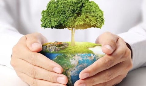 Туркменистан обновил стратегию сохранения биоразнообразия