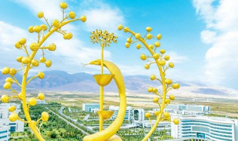 В Туркменистане разработают стратегию научно-медицинской дипломатии