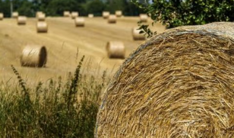 Животноводы Мургабского оазиса готовятся к зимовке