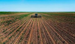 В Туркменистане продолжается уход за посевами и подготовка к хлопковому сезону