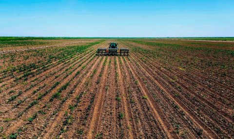 В Туркменистане продолжается уход за посевами и подготовка к хлопковому сезону
