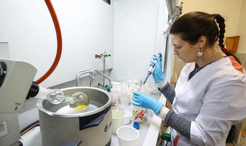 Российские исследователи создали новый способ регенерации тканей