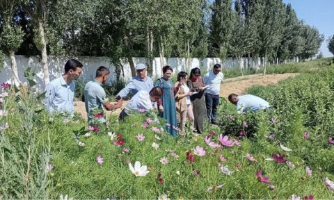 Туркменская делегация посетила Узбекистан для обмена экологическим опытом