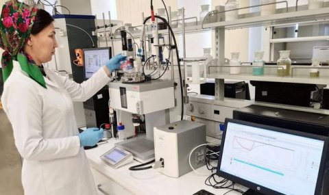 В Туркменистане завершается разработка универсального удобрения для теплиц