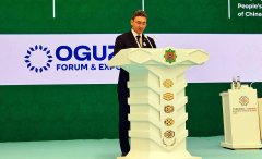 Замминистра энергетики Туркменистана выступил на туркмено-китайском форуме