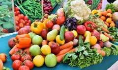 В Дашогузском велаяте продолжаются полевые работы по бахчевым культурам