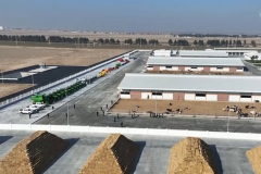 Туркменские предприниматели планируют возвести масштабные объекты