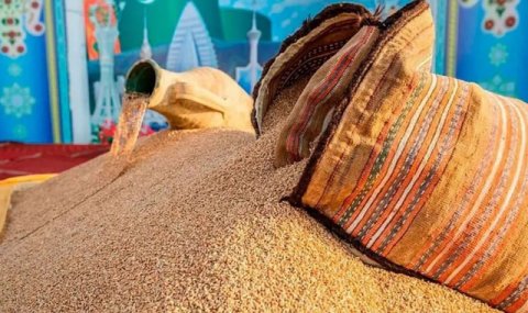 Хлебокомбинат на востоке Туркменистана перевыполнил план по переработке пшеницы