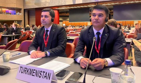 Туркменистан представляет позицию по миграционной политике на сессии IOM