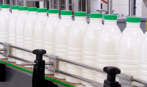 Предприятие Nur увеличило выпуск молочной продукции на 4,7%
