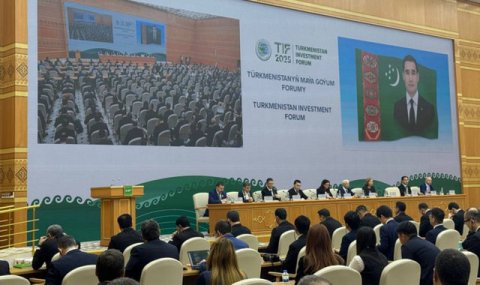 SOCAR заинтересовалась разработкой месторождений Туркменистана